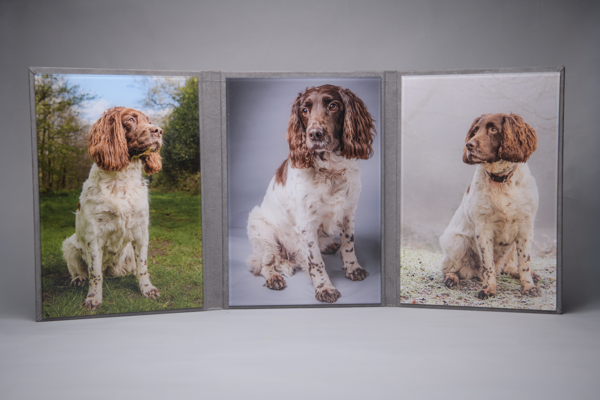 Image of Triplex opened out to reveal three images