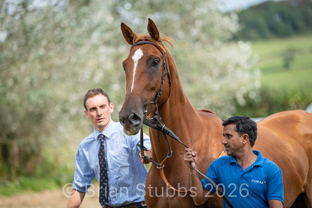 Owners Day at Tizzards